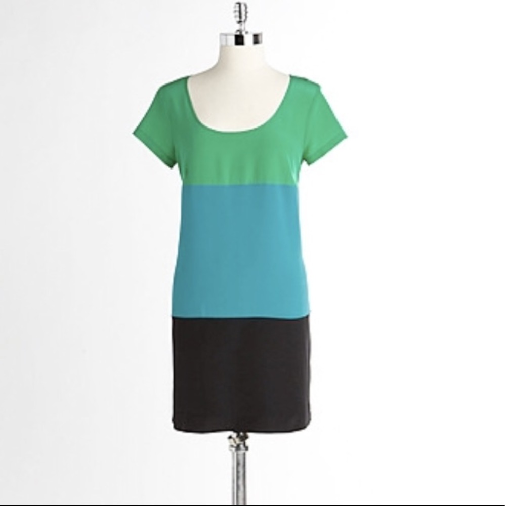 Matty m 100% silk Colorblock Dress
